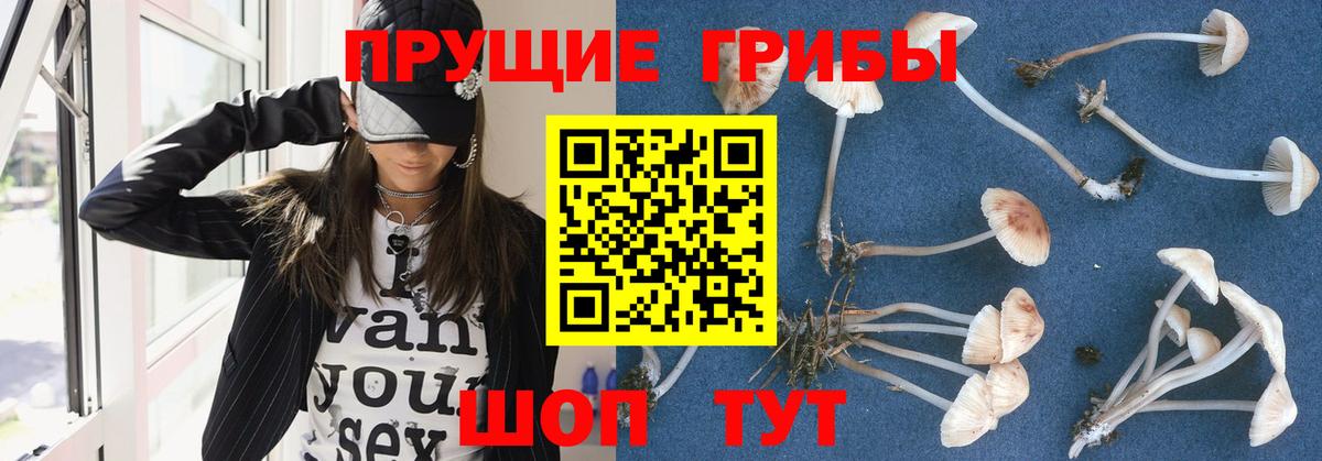 Ликино-Дулёво  Псилоцибиновые грибы прущие грибы  закладки  Вход с VPN 